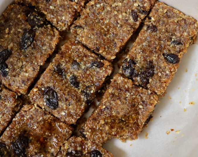 {No Bake} Oatmeal Raisin Cookie Dough Bars | Pumpkin Honey